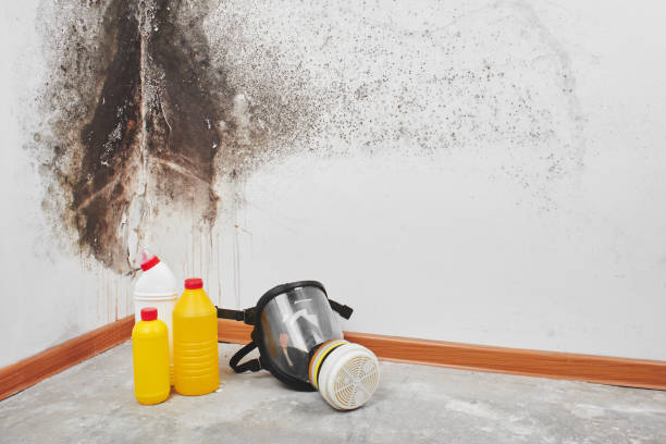 Glenpool, OK Mold Removal Company