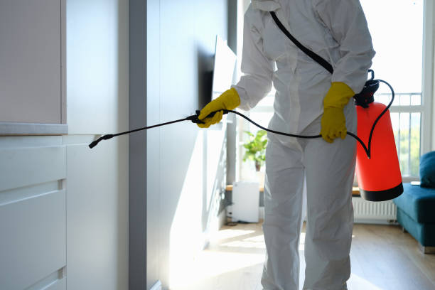 Best Attic Mold Removal  in Glenpool, OK