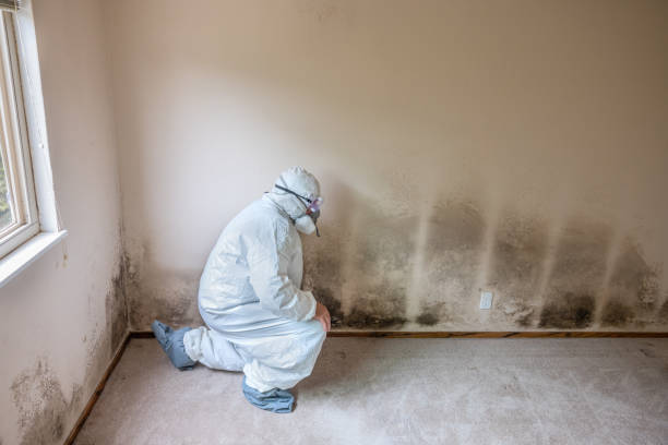 Best Office Mold Removal Services  in Glenpool, OK