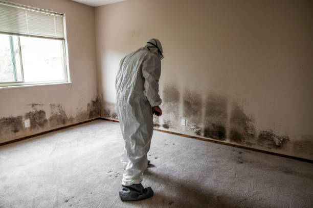 Best Mold Removal Company Near Me  in Glenpool, OK