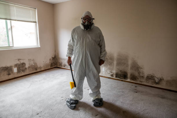 Best Black Mold Removal  in Glenpool, OK